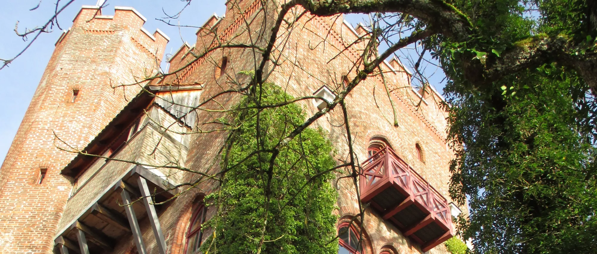 2024-02-banner-burg-schwaneck